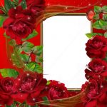 Frame Rose ( 100 )