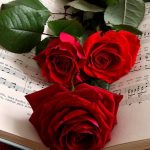 Scegli la tua Rosa Rossa