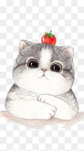 Cat sweet PNG