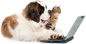 Dog Cat sweet