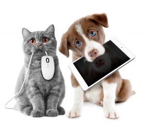 Dog Cat sweet