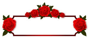 frame rose photoshop