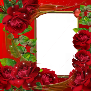 frame rose photoshop