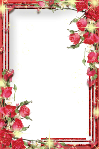 frame rose photoshop