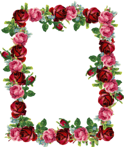 frame rose photoshop