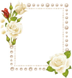 frame rose photoshop