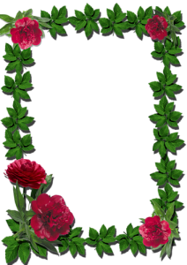 frame rose photoshop