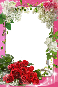frame rose photoshop