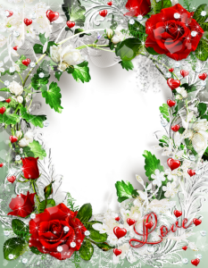 frame rose photoshop