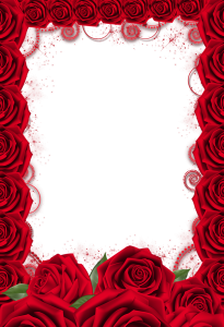 frame rose photoshop