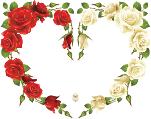 frame rose photoshop