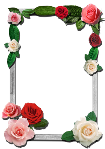 frame rose photoshop