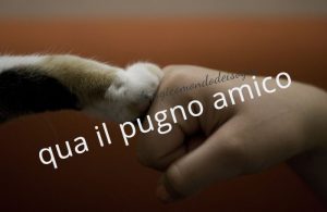 Batti 5 Gimme Five