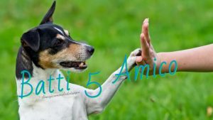 Batti 5 Gimme Five