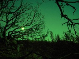 Halloween Landscape Halloween Landscape