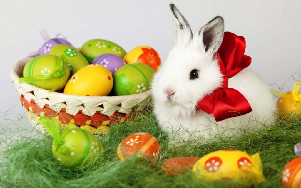Easter Pasqua