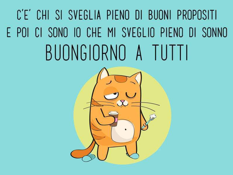 Buongiorno Animali Divertenti gatto
