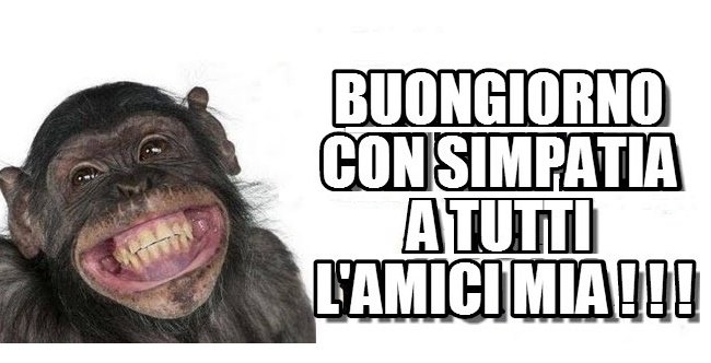 Buongiorno Animali Divertenti scimmia