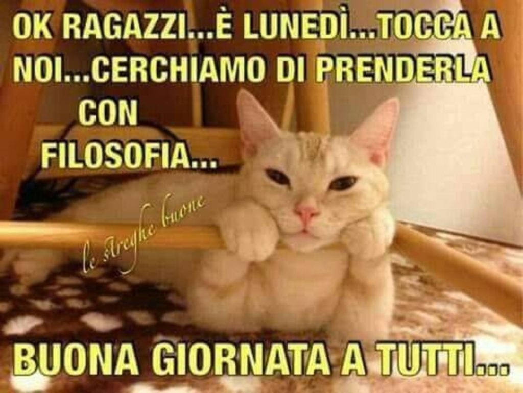 Buongiorno Animali Divertenti gatto