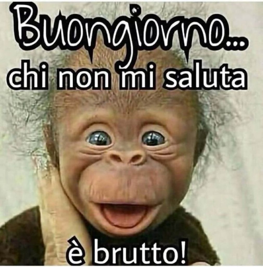 Buongiorno Animali Divertenti scimmia