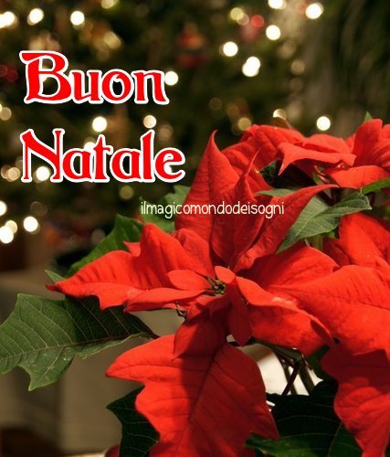 Cartoline Buon Natale