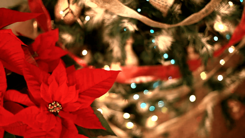 Sfondi Natale background Christmas
