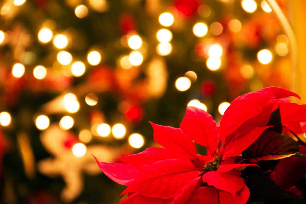 Sfondi Natale background Christmas