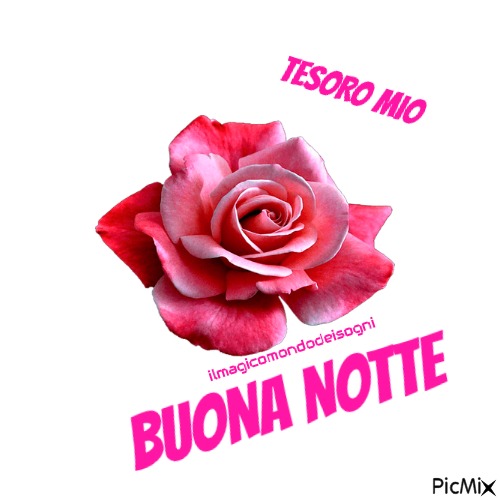 buonanotte immagini