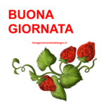 buona giornata immagini