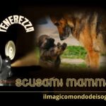 scusami mamma