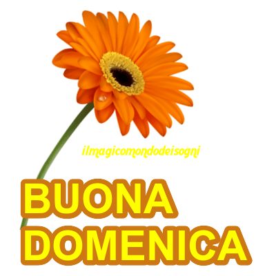 buona domenica immagini