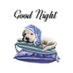 good night