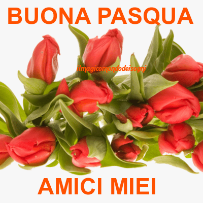 buona pasqua immagini