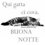 buonanotte immagini stupende