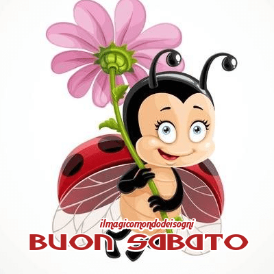 buon sabato immagini