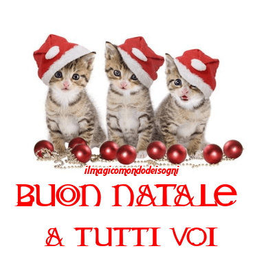 buon natale a tutti voi con i gattini