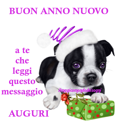 buon anno nuovo immagini