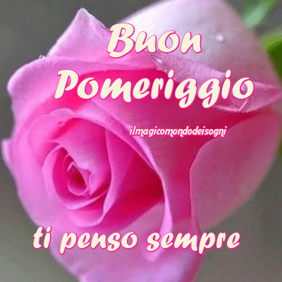 buon pomeriggio immagini