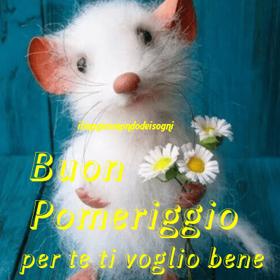 buon pomeriggio immagini