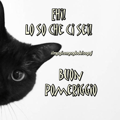 buon pomeriggio immagini