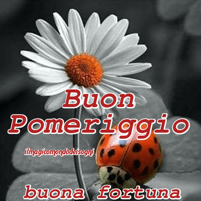 buon pomeriggio immagini
